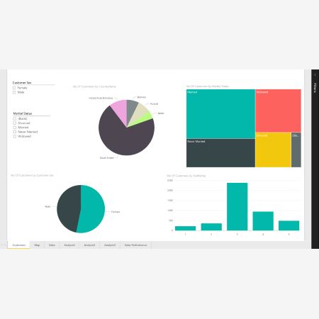 Customer Analysis